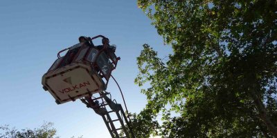 Ağaçta mahsur kalan kedi aşağı atlayınca yürekleri ağızlara getirdi