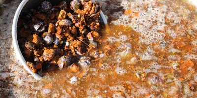 Toros Dağı zirvesinden Türkiye’ye yayılan şifa: Andız pekmezi