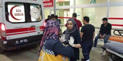 Adana'da yola çıkan köpekler ardı ardına iki kazaya neden oldu: 1 kişi öldü, 2 kişi yaralandı