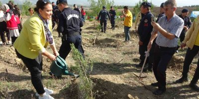 Adana’da 2023 yılı içinde 95 bin 800 fidanın toprakla buluşması hedefleniyor