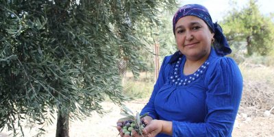 Meteoroloji uyarı verdi, çiftçi ürünü hasat etmeye başladı