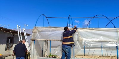 Kozan’da şiddetli rüzgar seralara zarar verdi