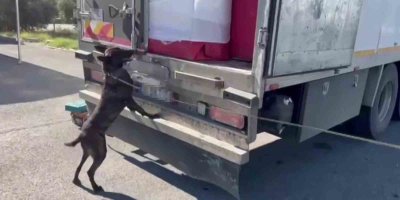 Adana'da ev eşyası arasında uyuşturucu sevkiyatı