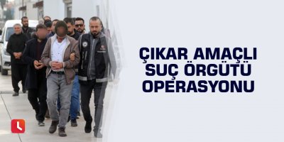 Çıkar amaçlı suç örgütü operasyonu
