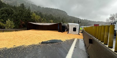 Otoyolda tır yan yattı, yol tahıl ile kaplandı