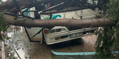 Şiddetli rüzgarda üzerine ağaç devrilen midibüs hurdaya döndü