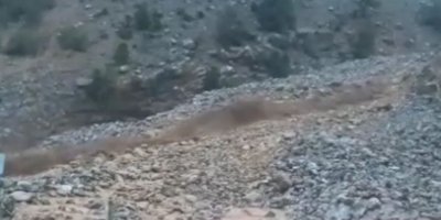 Adana’nın kuzey ilçelerini fırtına vurdu