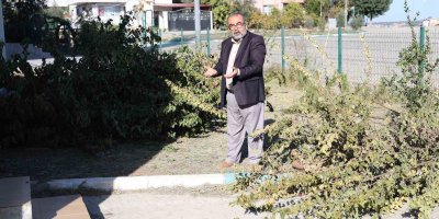 Adana'da imam ile dernek başkanı arasında ’ağaç kesme’ tartışması