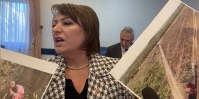 Şevkin: "Tarım Bakanı, ölü balık taklidi yapıyor"