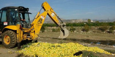 Dere yatağına dökülen tonlarca limon imha edildi