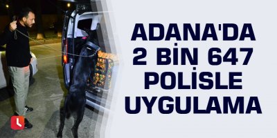 Adana'da 2 bin 647 polisle uygulama