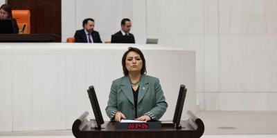 "89 yılda 10 bin 875 erkek, 716 kadın milletvekili olmuş"