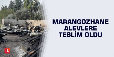Marangozhane alevlere teslim oldu