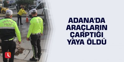 Adana'da araçların çarptığı yaya öldü