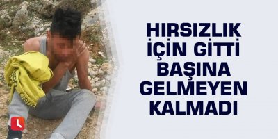 Hırsızlık için gitti başına gelmeyen kalmadı