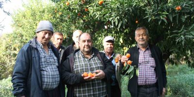 Kozanlılardan veryansın: Bahçede 3 TL, markette 45 TL