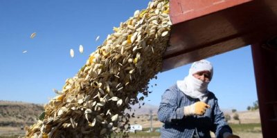 Adana'dan 2 milyar 901 milyon dolarlık ihracat yapıldı