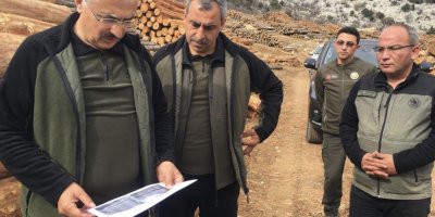 Adana’da ormandan 2.3 milyar TL gelir elde edildi