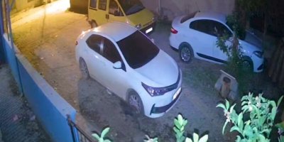 Domuz yavrusu evin güvenlik kamerasına yansıdı