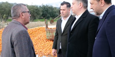 Sadullah Kısacık Narenciye Üreticilerinin Sorunlarını Dinledi