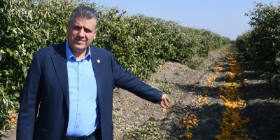 "Narenciye üretimi bitebilir"