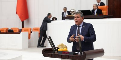 "Narenciye üreticisine ton başına 3 bin lira destek verin"