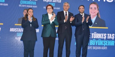 Ayyüce Türkeş Taş, Projelerini Açıkladı