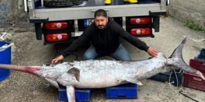 Adana'da balıkçılar 150 kiloluk kılıç balığı yakaladı: 3 metre boyunda