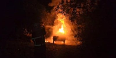 Aracını çalıştırdı otomobil alev topuna döndü