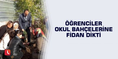Öğrenciler okul bahçelerine fidan dikti