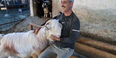 Adana'da kurbanlık satışları erken başladı: İlk fiyat 15 bin TL