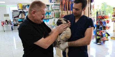 Uzmanından köpek besleyenlere uyarı: "Köpekleri ağızlık ile dolaştırın"