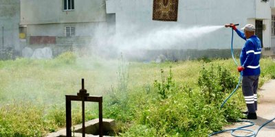 Büyükşehir; 450 personel, 100 araç ile haşereyle mücadele ediyor