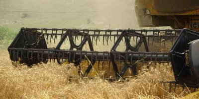 Buğday rekoltesi yüz güldürdü