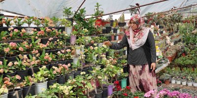 “Bir dal çiçek istediler” o serasını kurup kendi işinin patronu oldu