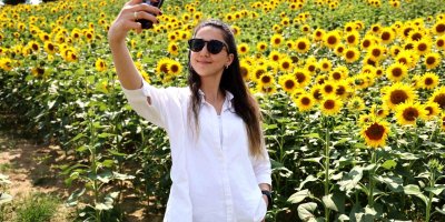 Adana’da tarlalar sarıya boyandı