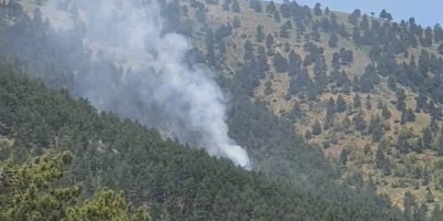 Saimbeyli'de çıkan orman yangını kontrol altIna alındı