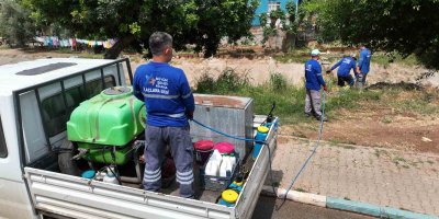 Büyükşehir sinek ve haşere ile mücadeleyi aralıksız sürdürüyor