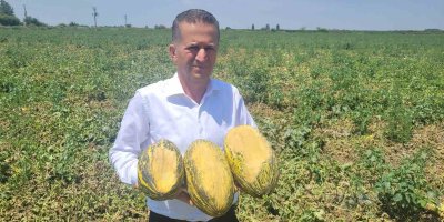 Aşırı sıcak kavun, karpuz,  biber ve domatesleri yaktı