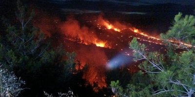 Adana’da orman yangını