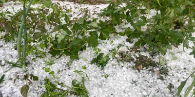 Adana’da fındık büyüklüğünde dolu yağışı ekili alanları vurdu, yollarda taşkın oluştu
