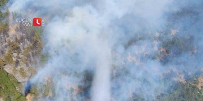 Adana’da orman yangını