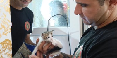Adana'da apartmanın havalandırma boşluğuna düşen yavru kedi kurtarıldı