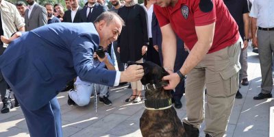 Uyuşturucuya rekor tutuklamaya emniyet müdüründen tebrik