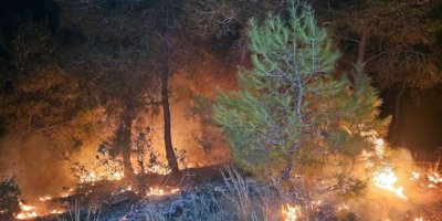 Adana'da 2 günde 10 orman yangını çıktı: 'İnsan eli' uyarısı