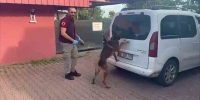 Torbacılar yakalanınca “Kraliçe arı” taşıdıklarını söyledi