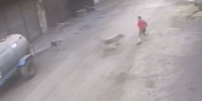Adana’da 14 yaşındaki çocuk başıboş köpeklerin saldırısına uğradı