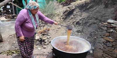 Adana sıcağında dutun şifalı yolculuğu başladı