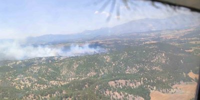 Adana’da orman yangını