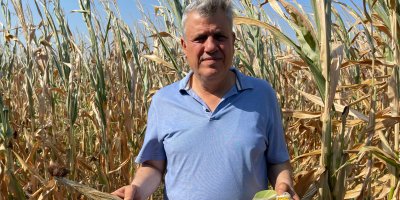 Sulama sistemleri çalışmadı, çiftçilerin emeği heba oldu